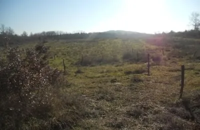 Fotografija