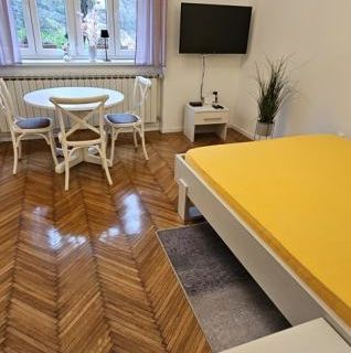 NAJAM, CENTAR (HERCEGOVAČKA), MODERNA GARSONIJERA, 29M2, 500€ (iznajmljivanje) - cover