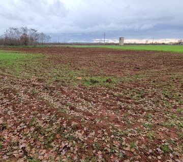 Istra, Loborika, građevinsko zemljište 2000m2 pravilnog formata, #prodaja - cover