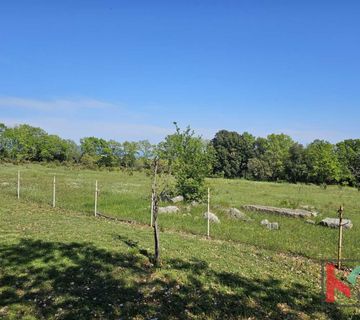 Istra, Peruški, poljoprivredno zemljište 1071m2 #prodaja - cover
