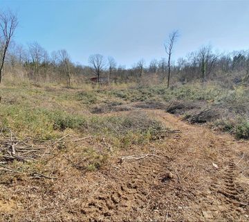 Istra - Potpićan građevinsko zemljište 10.128m2 - cover