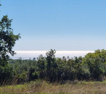 Istra, peruški, građevinsko i poljoprivredno zemljište 5932m2 sa pogledom na more - cover