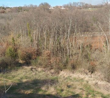 Istra, Svetvinčenat, Bibići građevinsko zemljište 1459 m2 - cover