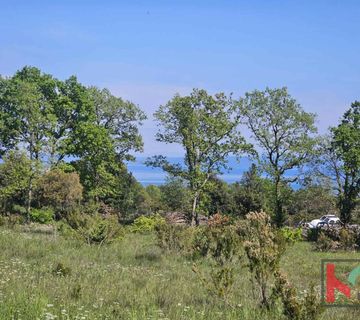 Istra, Peruški, poljoprivredno zemljište 3774m2 sa legaliziranim objektom i pogledom na more #prodaja - cover