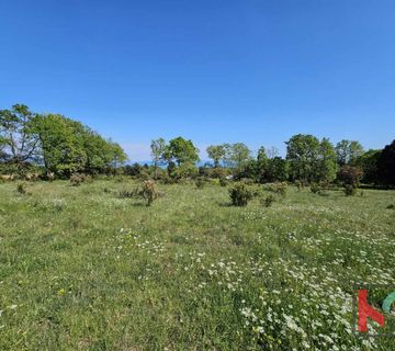 Istra, Peruški, poljoprivredno zemljište 1002m2 #prodaja - cover