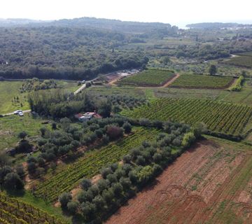 Rovinj, legalizirana kuća sa maslinikom i vinogradom na parceli od 4471 m2 #prodaja - cover