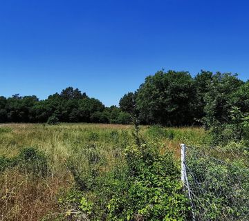 Istra, LIžnjan, Valtura, poljoprivredno zemljište 582m2 - cover