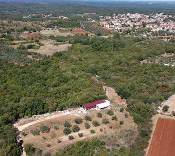 Rovinj, Rovinjsko Selo, maslinik 3307m2 - cover