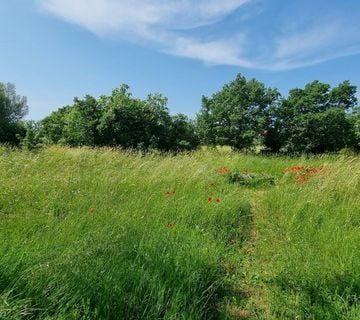 Istra, Pula, Busoler, građevinsko zemljište 1360 m2, #prodaja - cover