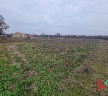 Istra, Svetvinčenat, građevinsko i poljoprivredno zemljište 809m2, #prodaja - cover