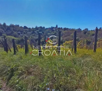 VRTLINOVEC, VINOGRAD I VOĆNJAK - cover