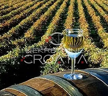 IZUZETNO POVOLJNO!!! ILOK: 9 ha vinograda!!! - cover