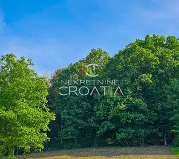 Šuma, Beretinec - cover