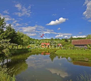 RINKOVEC: EKSKLUZIVNO, ETNO KUĆICE   - cover