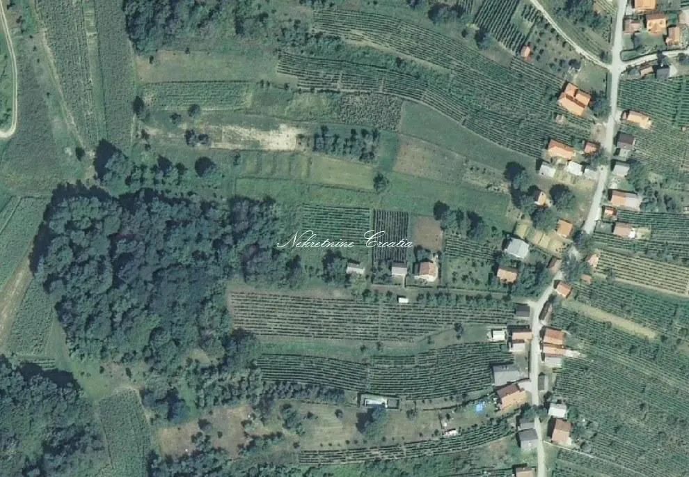 Fotografija