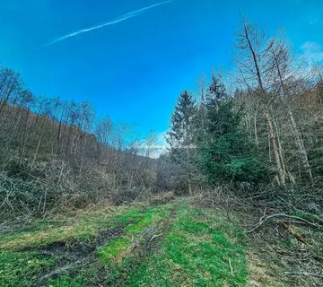 Podnožje Ivanščice! SA IZVOROM VODE!!! - cover