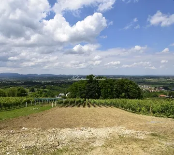  SALINOVEC, GRAĐEVINSKO  - cover