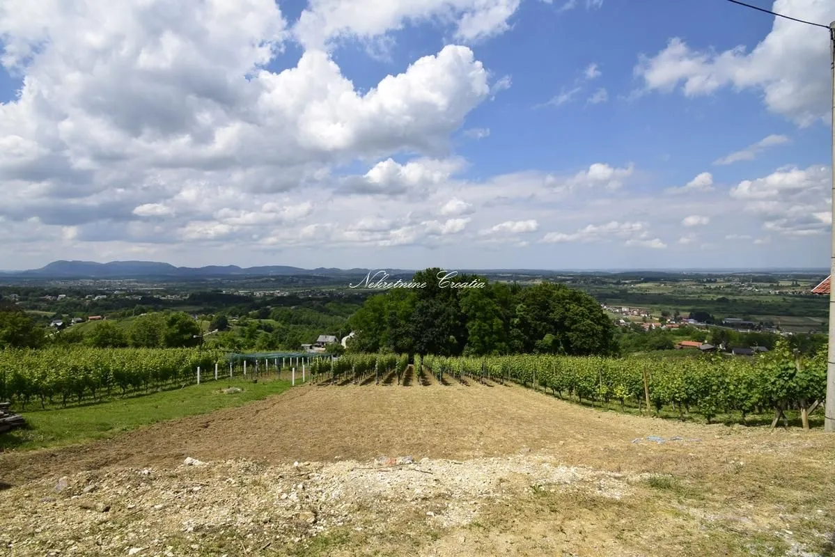  SALINOVEC, GRAĐEVINSKO  - cover