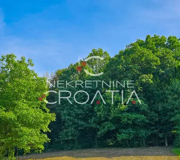  Šuma, Beretinec  - cover