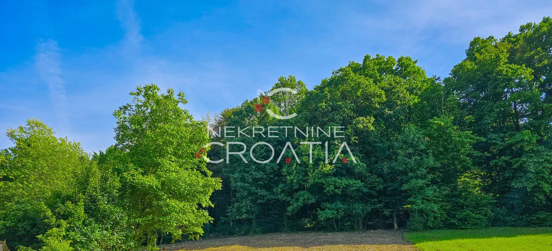  Šuma, Beretinec  - cover