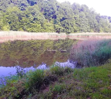  IVANEC, JEZERA  - cover