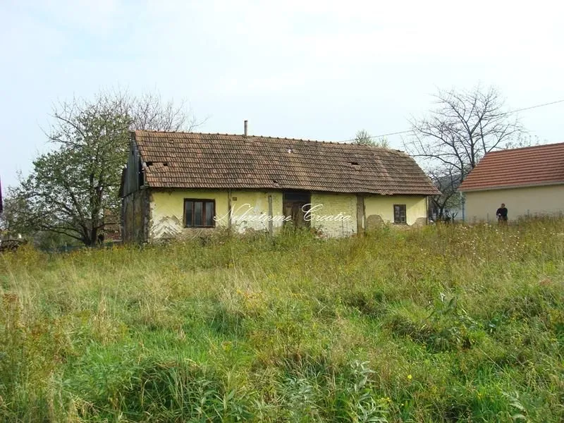 Fotografija