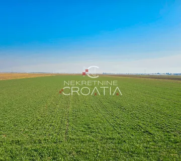  POLJOPRIVREDNO ZAMLAČA  - cover