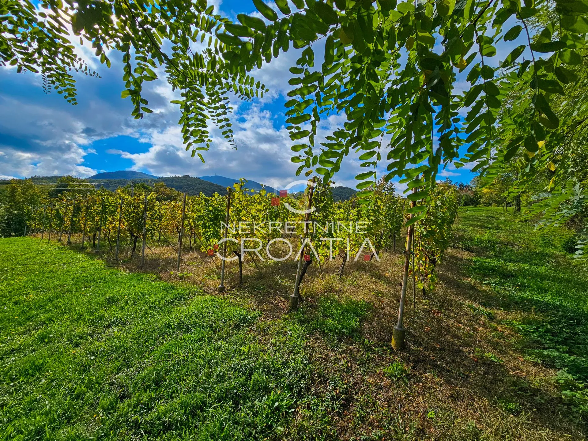 POVOLJNO: Vitešinec, sa priključkom vode! - cover