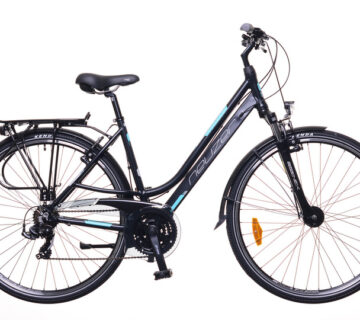 Bicikl Neuzer Ravenna 100 28" - cover