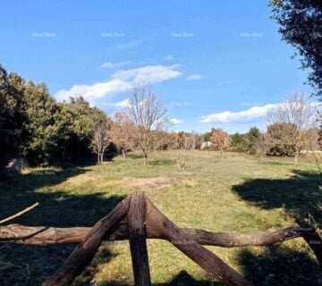 Poljoprivredno zemljište Prodaje se poljoprivredna parcela,  površine  3143 m2, u Šišanu - cover