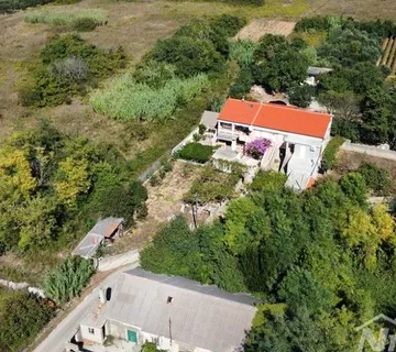 Obiteljska nekretnina s lijepim maslinikom i vinogradom - Privlaka, Privlaka