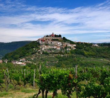 Motovun okolica - poljoprivredni teren do građevinske zone - cover