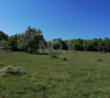 Višnjan - prodaja šume 44.600m2 - cover