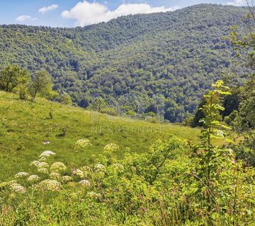 Veprinac, Falalelići - prodaja poljoprivrednog zemljišta - cover