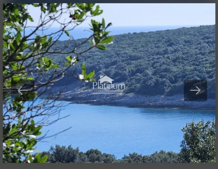 Istra,Pavićini poljoprivredno zemljište na prodaju - cover