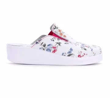 ANATOMSKE KLOMPE, Plava, BBDCF - cover