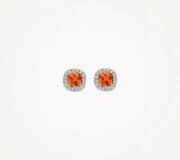 Blush naušnice Adler - cover