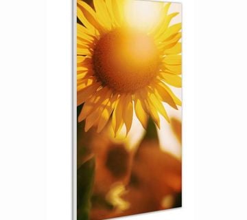 Infracrveni paneli MySun Art 600W  - cover