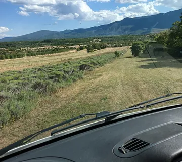 Eterično ulje lavande - cover