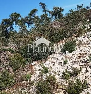 Istra,Pavićini poljoprivredno zemljište 500 m od mora - cover