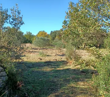 Fažana poljoprivredno zemljište 2400 m2 - cover