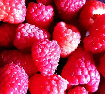 MALINA “Tulameen” - cover