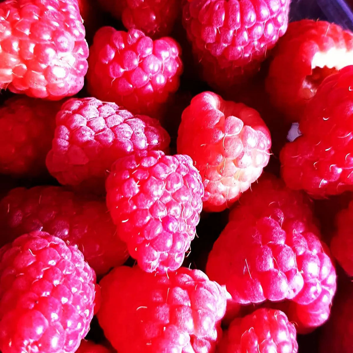 MALINA “Tulameen” - cover