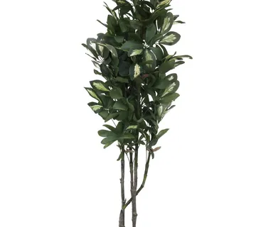 EUROPALMS Schefflera, 120cm - cover
