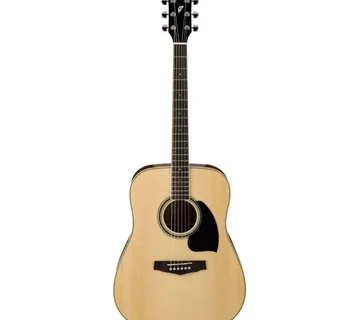 IBANEZ PF15 NT - cover