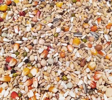 JUNIOR Pro Revolution br. 49 20kg - cover