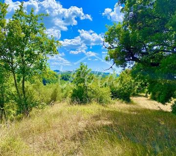 Građevinsko zemljište sa 6 ucrtanih ruševina,Draguć okolica - cover