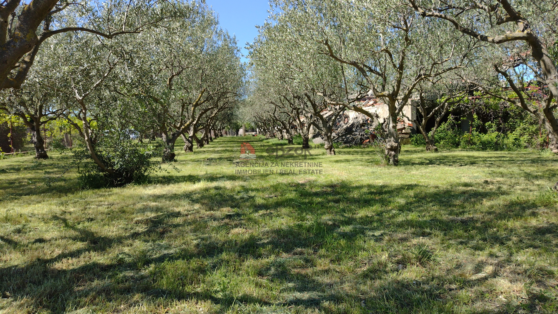 DONJA JAGODNJA - Građevinsko zemljište 3021m2 - cover