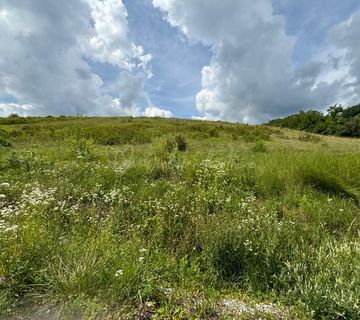 Prodaja Zemljišta, 15867m2, Gornja Dubrava - cover