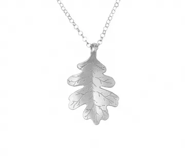 Hrast privjesak svijetli - cover